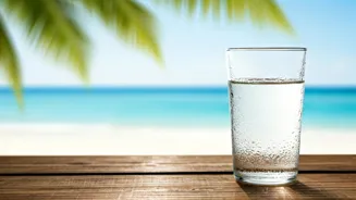 When Is The Best Time To Drink Coconut Water?