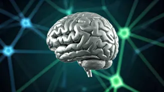 Seniors Can Boost Brains Easily With Exercise
