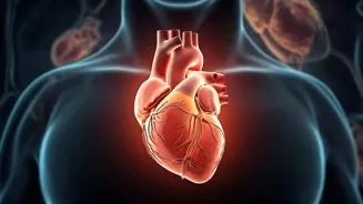 Is Your Heart Healthy? Watch For These Signs.