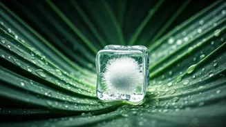 Ice Can Benefit Your Skin In 7 Ways.