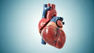 Mindfulness for Heart Health: 5 Expert Tips