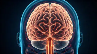 Reverse Aging: Exercise Weekly to Live Longer