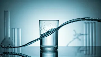 Does Drinking Water Help You Lose Weight?