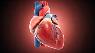 Boost Your Health by Exercising Thrice Weekly