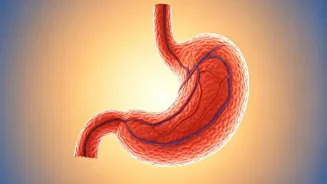 Is Your Diet Wrong? Rujuta's Red Flags.