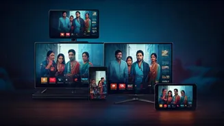 Hindi Series: Your Next Binge Watch List