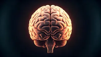 Simple Habits to Keep Your Brain Sharp & Young
