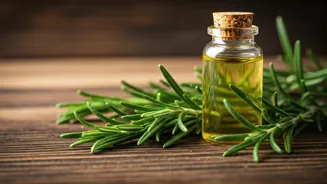 Rosemary Can Boost Memory and Brain Health