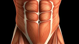 Get a Flatter Stomach With These 7 Easy Tips