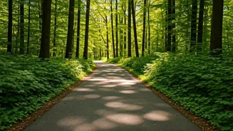 Walking for Weight Loss: Steps to Success