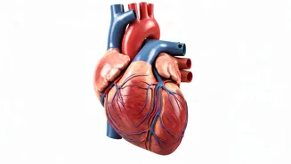 Lower Your Blood Pressure With These Exercises