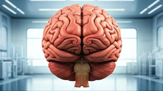 Leg Day & Brain Health: Unlocking the Connection