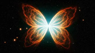 JWST and Hubble Reveal Butterfly Star Secrets
