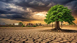 India Faces Weather's Long-Term Challenges