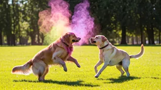 Dogs Improve Our Lives: Science Explains How