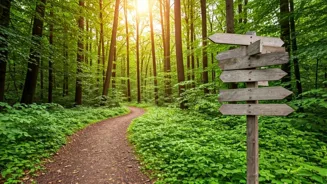 Are You Lost? Here's How To Find Your Way.