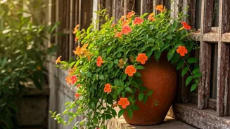 Lakshman Booti: A Monsoon Garden's Best Bet