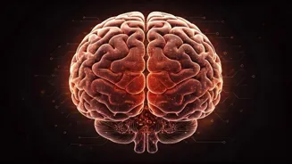 Sharpen your brain with these daily habits.