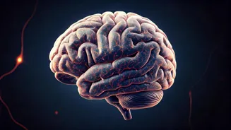 Boost Brainpower: 9 Habits For Peak Performance