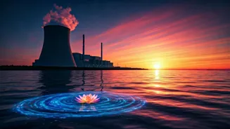 Jellyfish Cause Nuclear Plant Shutdown, Restart