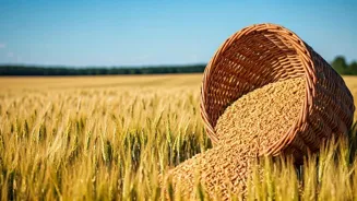 Rural India May Benefit From Lower Food Prices