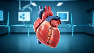Improve Your Heart Health For a Stronger You