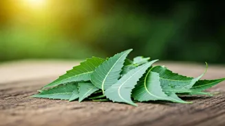 Ayurvedic Leaves Lower Cholesterol Naturally