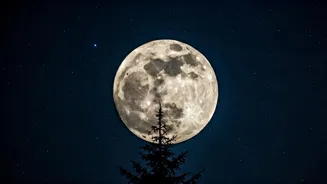 See Giant Supermoons Light Up the Night