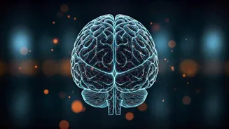 Boost Your Brain With These 9 Daily Habits.
