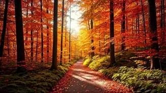 Visit These 10 Countries This Autumn!