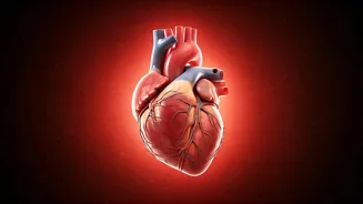 Live Longer: 5 Healthy Habits to Adopt Now