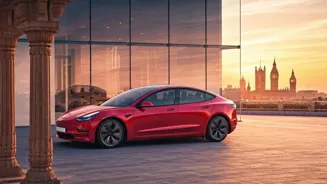 Tesla Expands to Delhi, Pauses Europe Plans