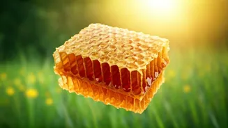 Shilpa Shetty Explains Bee Breath: Bhramari