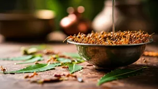 Ant Infestation? Post-Monsoon Pest Control Tips