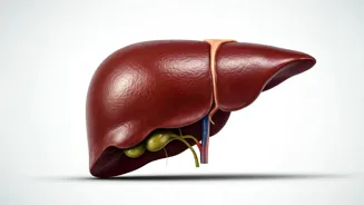 Is Your Liver Struggling? Six Signs to Watch