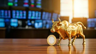NSDL Stock Price Jumps: Understanding the Rise