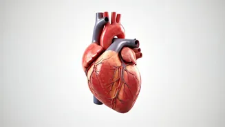 Heart Health: Simple Changes for a Stronger You