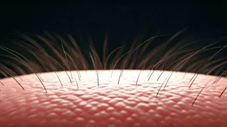 Hair Fall or Hair Loss? Know the Difference.