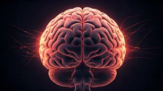Sharpen Your Mind: 9 Daily Brain Boosters