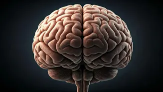 9 Daily Habits to Supercharge Your Brainpower