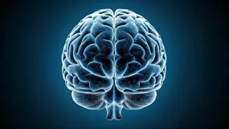 Boost Brain Health With These 9 Daily Habits