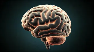 Boost Your Memory Naturally: 5 Ways to Recall