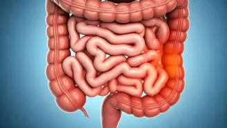 Casein's Gut Effect: What Happens After Milk?