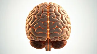 Boost Your Brain With These Home Exercises.