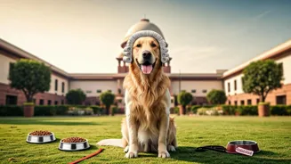 Supreme Court Rules on Stray Dogs: Key Points