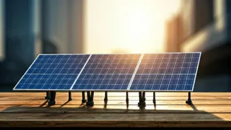 Is Vikram Solar's IPO Worth Investing In?
