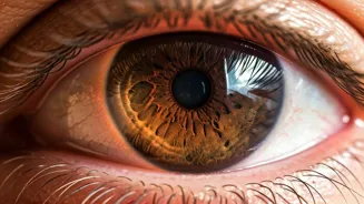 Vitamin D & Vision: Understanding the Link