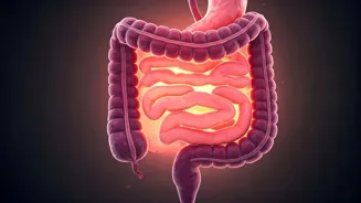 Is Your Gut Unhappy Even With Clean Eating?