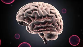 Cardiologist Shares Daily Stroke Risk Habits
