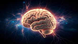 Sharpen Your Mind with These 9 Daily Habits